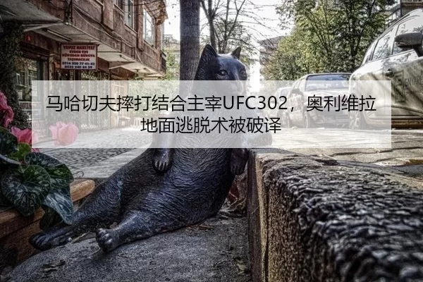 马哈切夫摔打结合主宰UFC302，奥利维拉地面逃脱术被破译