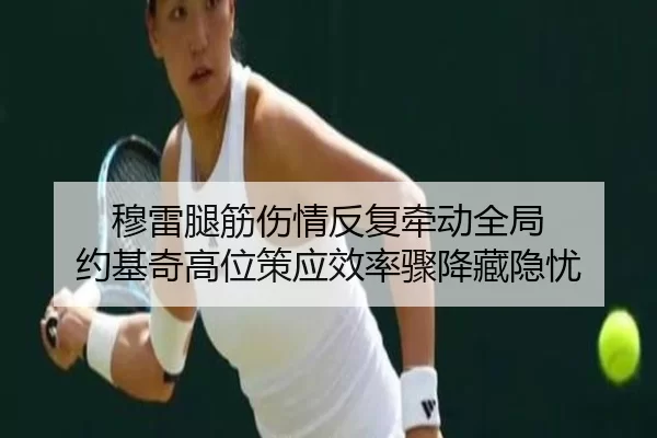 mu-lei-tui-jin-shang-qing-fan-fu-qian-dong-quan-ju-yue-ji-qi-gao-wei-ce-ying-xiao-lv-zhou-jiang-cang-yin-you-2-515.jpg